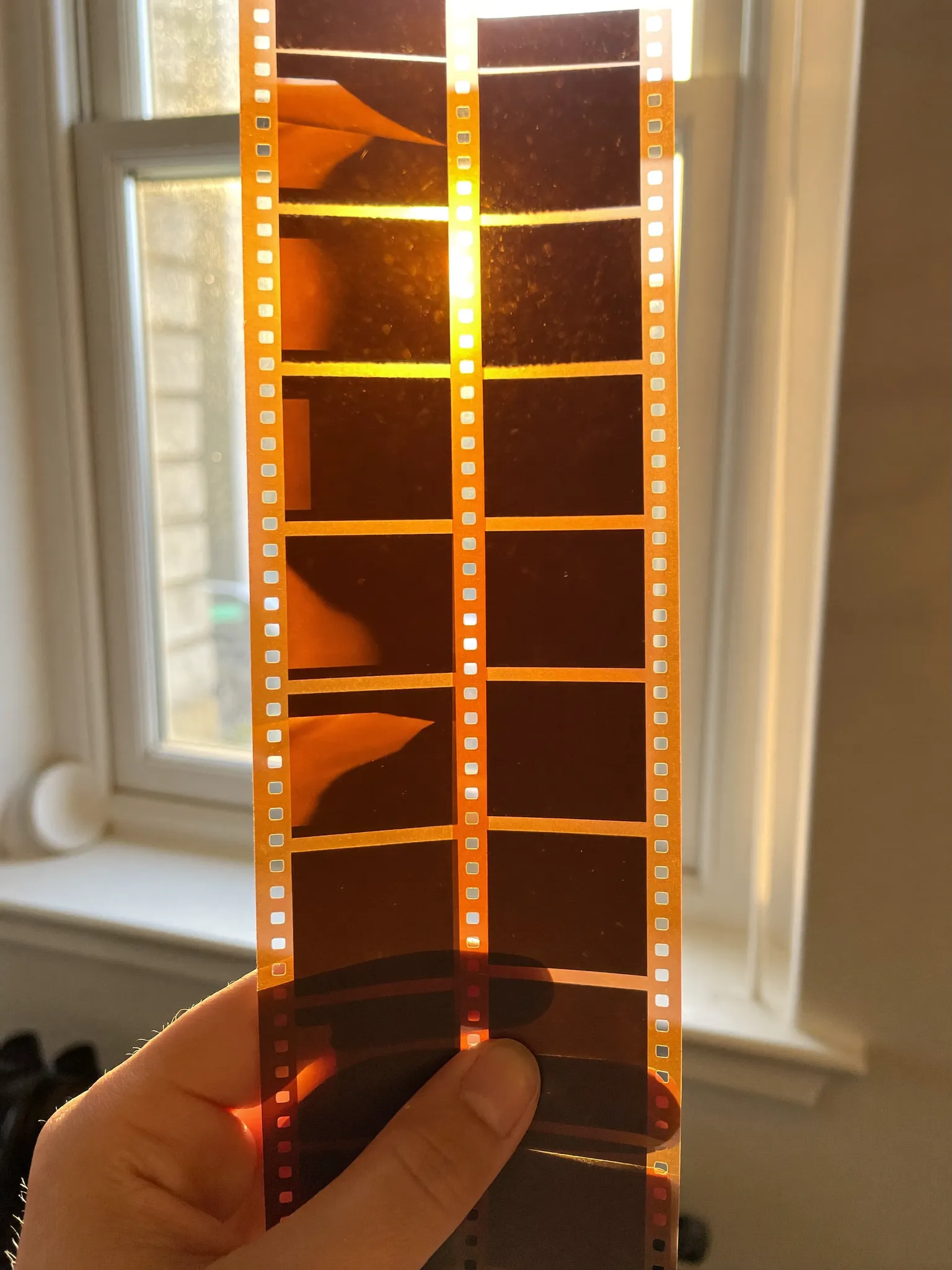 hand holding 35mm film strip to the light